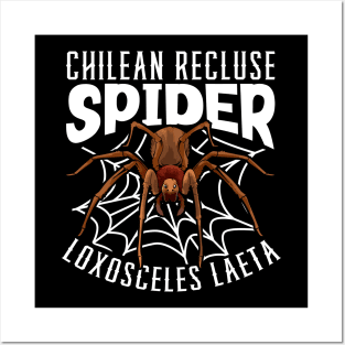 Chilean Recluse Spider Posters and Art